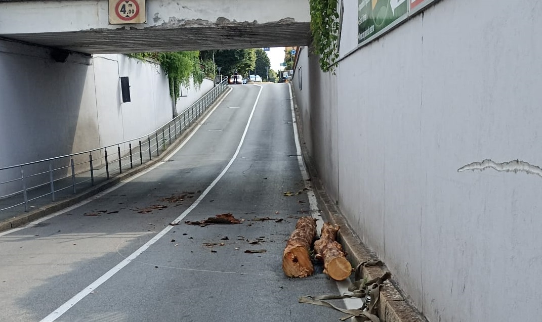 Canegrate Si Incastra Nel Sottopasso E Perde Il Carico Di Legna