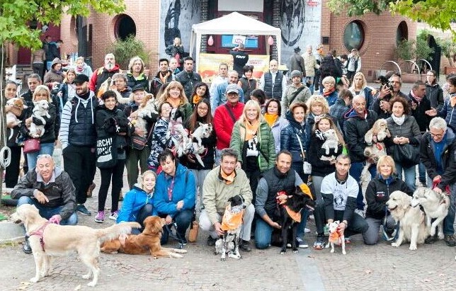 Bollate, quasi cento cani a “Scondinzolando”