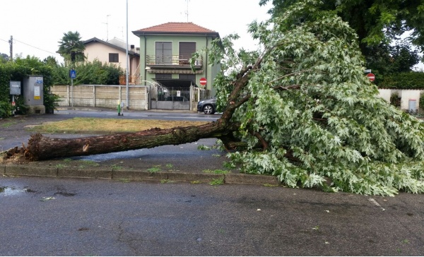 Bomba d’acqua nel Rhodense: strade allagate e piante abbattute