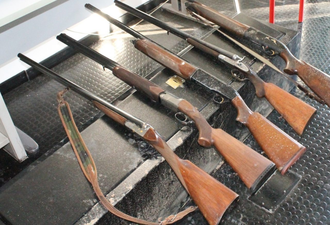 Trovati fucili nel Parco del Roccolo: erano stati rubati in una casa