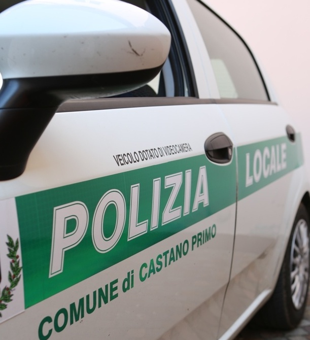 Castano Primo, trovato gatto bollito e scorticato: l’appello della Polizia locale