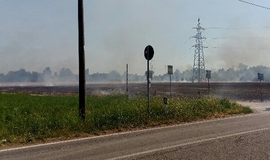 Cerro, campi di frumento in fiamme verso Parabiago: pomeriggio di paura