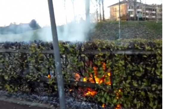 Corbetta, a fuoco una siepe vicino a una villetta: l’ipotesi del dolo