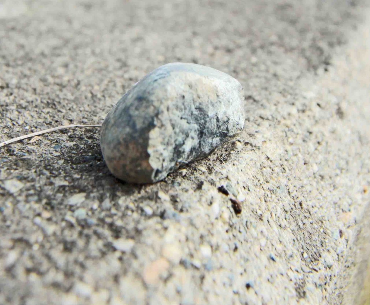 Legnano, escono dal bosco e tirano sassi contro le auto: ferito un dipendente comunale