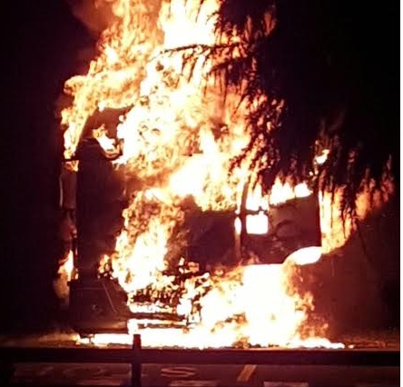 Mesero: a fuoco un camion trasporto di cavalli