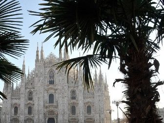 Milano, le palme della discordia bruciate nella notte dai vandali