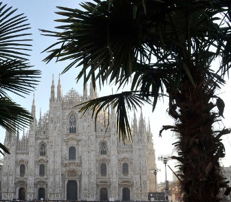 Milano, le palme della discordia bruciate nella notte dai vandali