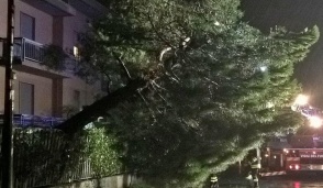 Parabiago, albero crolla sulla recinzione di un palazzo