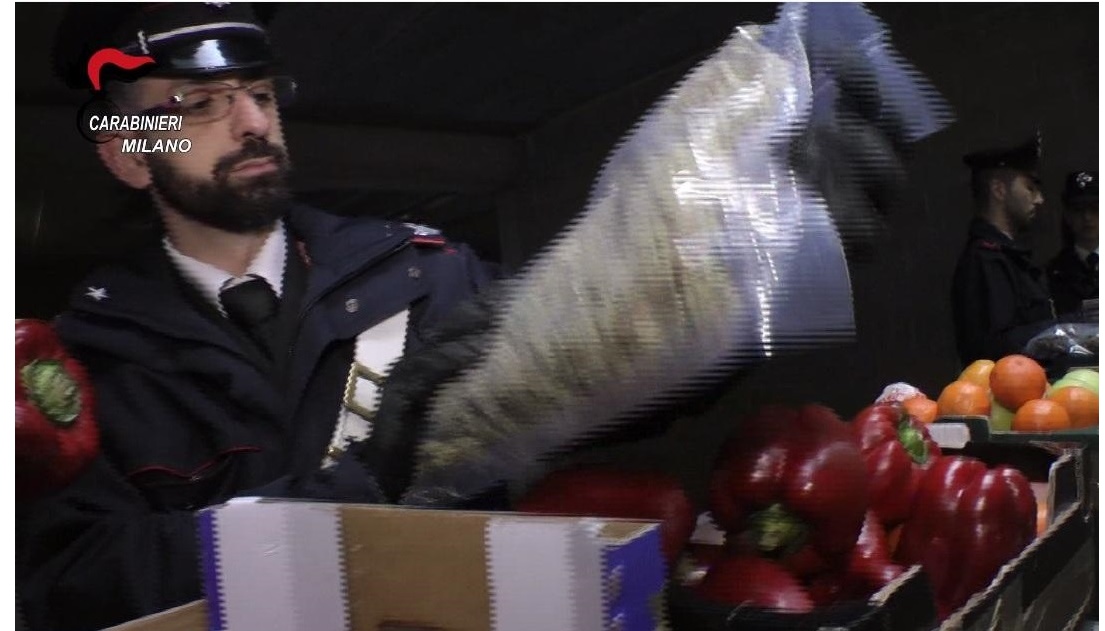 Rescaldina, Vanzago e Rho: smantellato traffico di droga, trovati anche pistole e fucili – Guarda il VIDEO