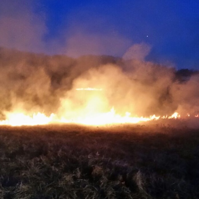 Rescaldina, incendio in un campo