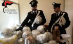 Robecco, arrestato spacciatore: in cascina aveva ben 54 chili di marijuana