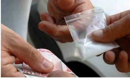 Marijuana e cocaina sei spacciatori albanesi in carcere