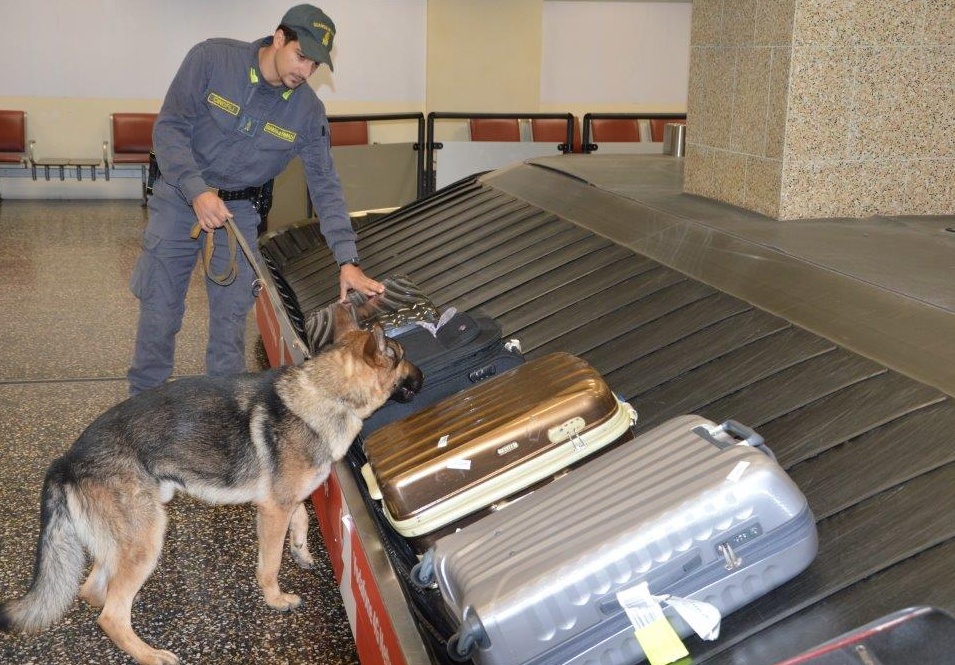 Sequestrati 212 chili di droga a Malpensa
