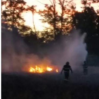 Tre incendi in poche ore:  tra Pogliano e Nerviano si pensa all’azione dei piromani – Guarda il VIDEO