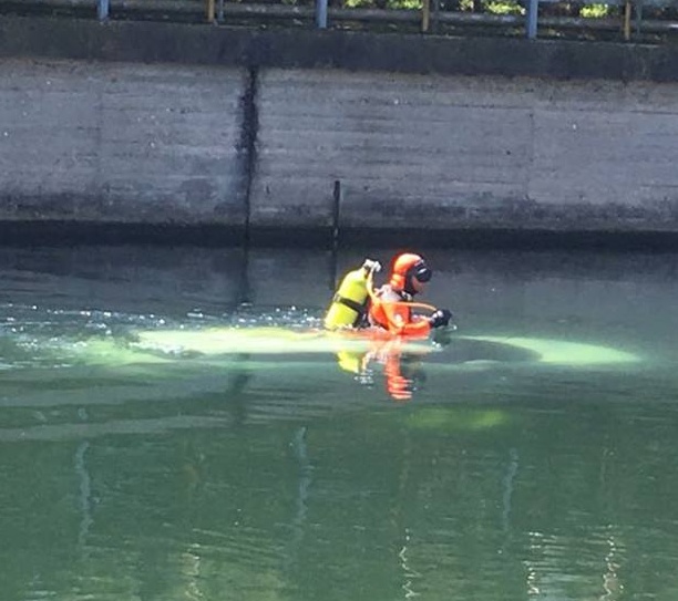 Cade nel Naviglio, donna salvata da un passante