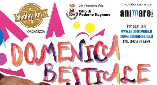 Una domenica bestiale con Animare Onlus