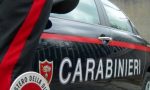 Vittuone, nel garage una serra di marijuana: arrestati