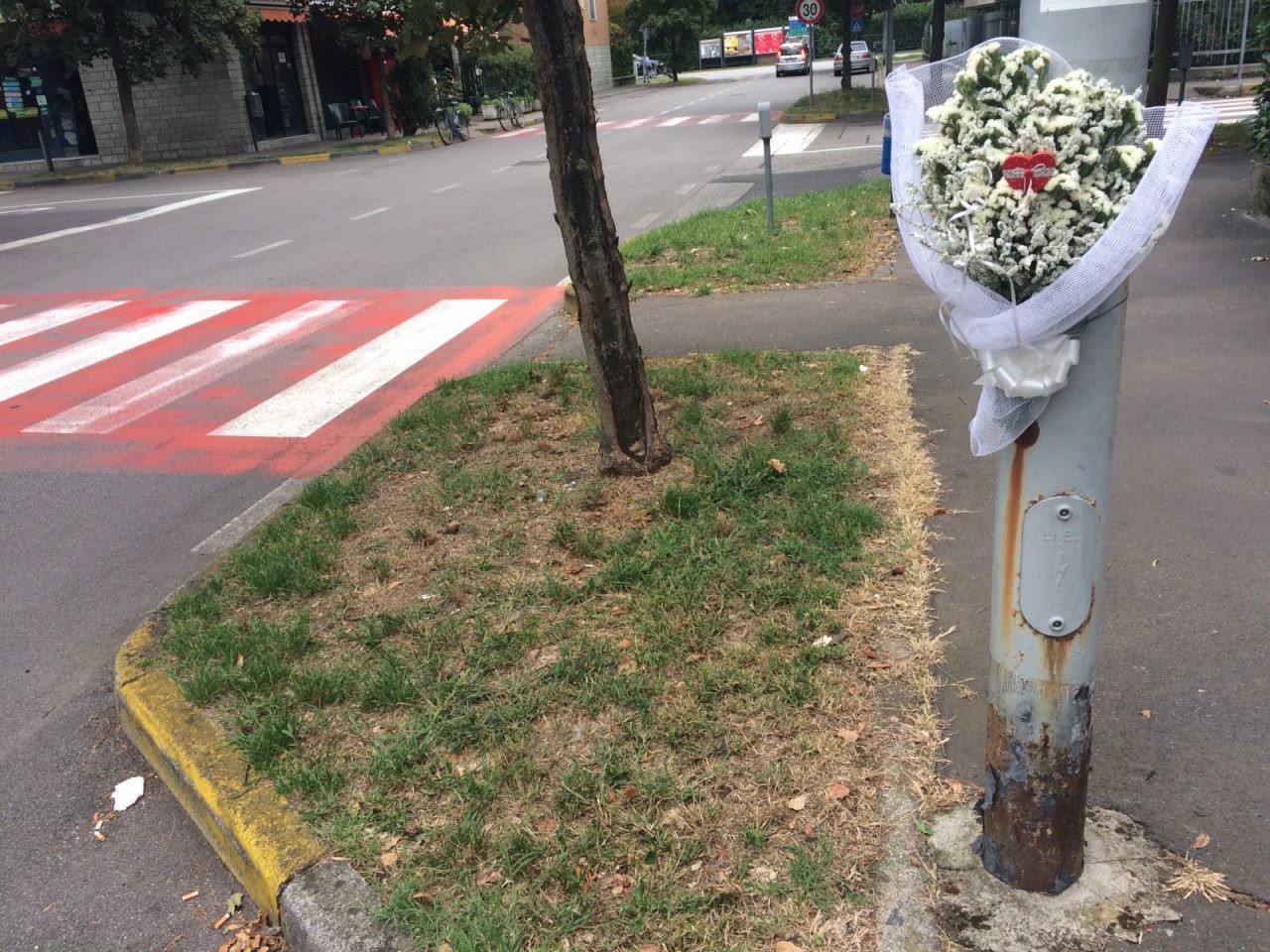 Mazzo di fiori… per il cane