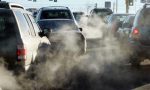 Lo smog uccide anche gli animali: i dati