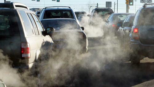 Lo smog uccide anche gli animali: i dati