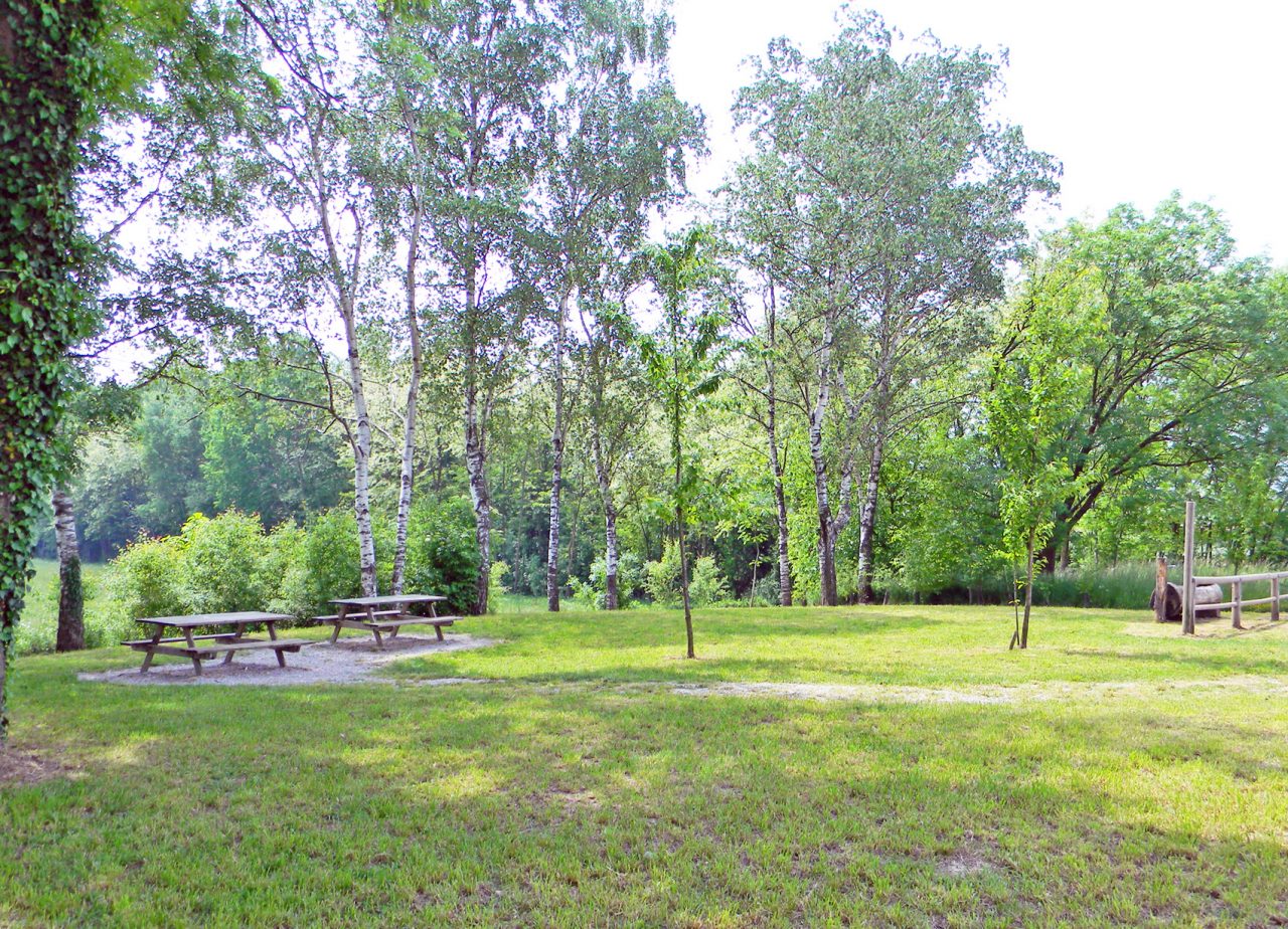 Con i fondi regionali si rinnova via San Francesco