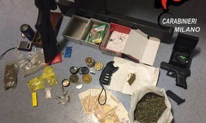 Piantagione di marijuana in casa: arrestato 40enne ad Arese