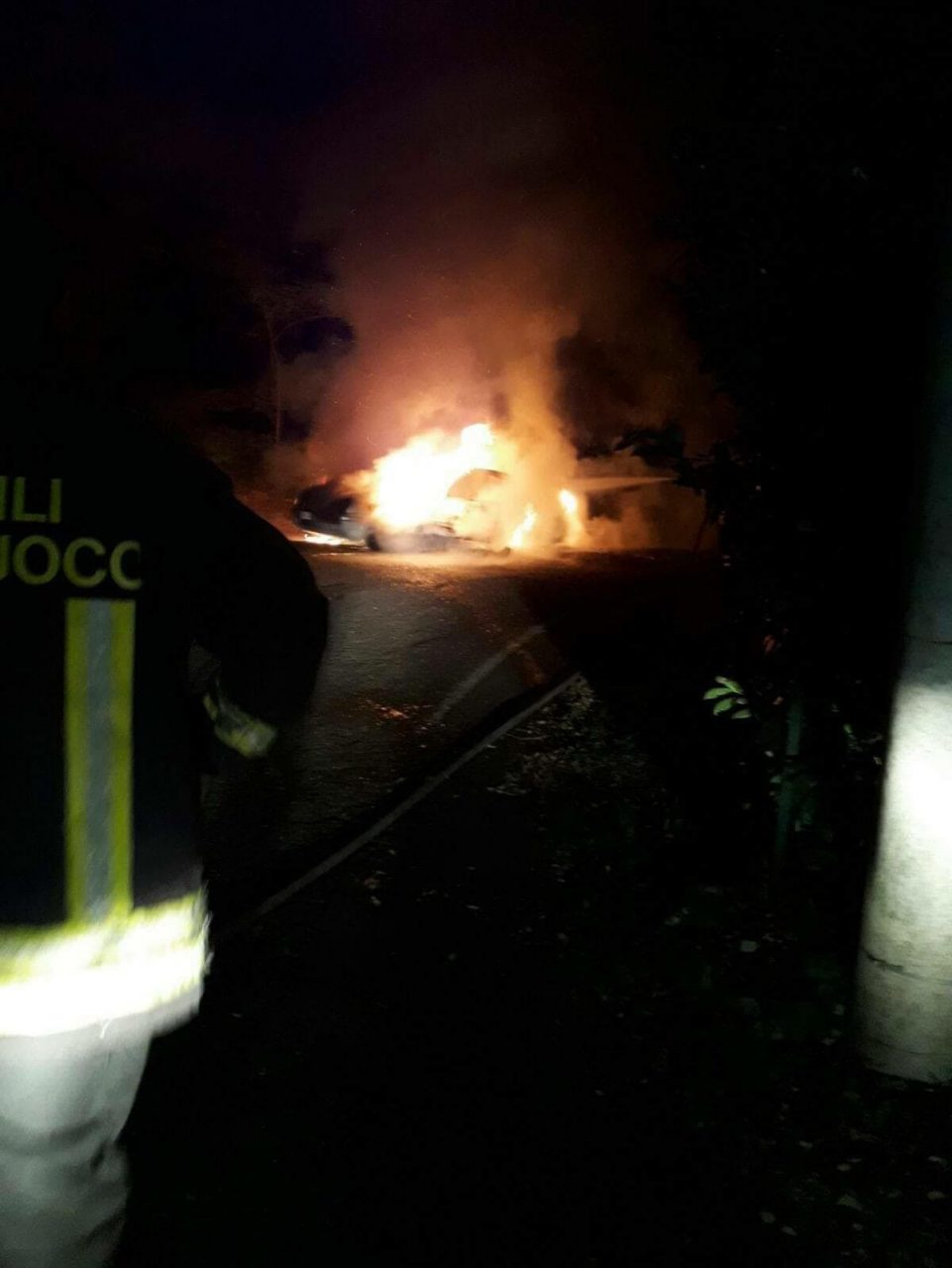 Scomparsa nei boschi indagini a tutto campo