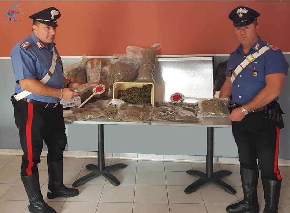 Coltivavano droga arrestati