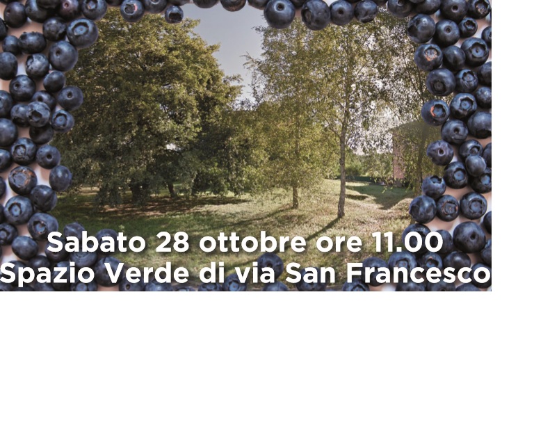 Orti in Lombardia, Vedano vince il bando e pianta mirtilli