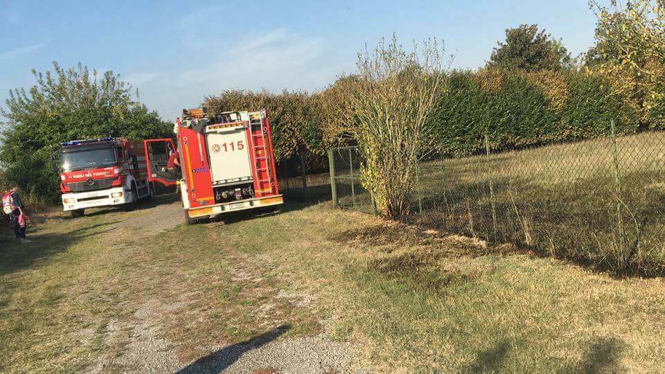 Incendiata siepe, Vigili del fuoco in azione