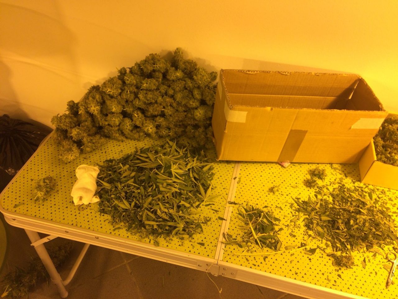 Coltivavano marijuana nel seminterrato: arrestati