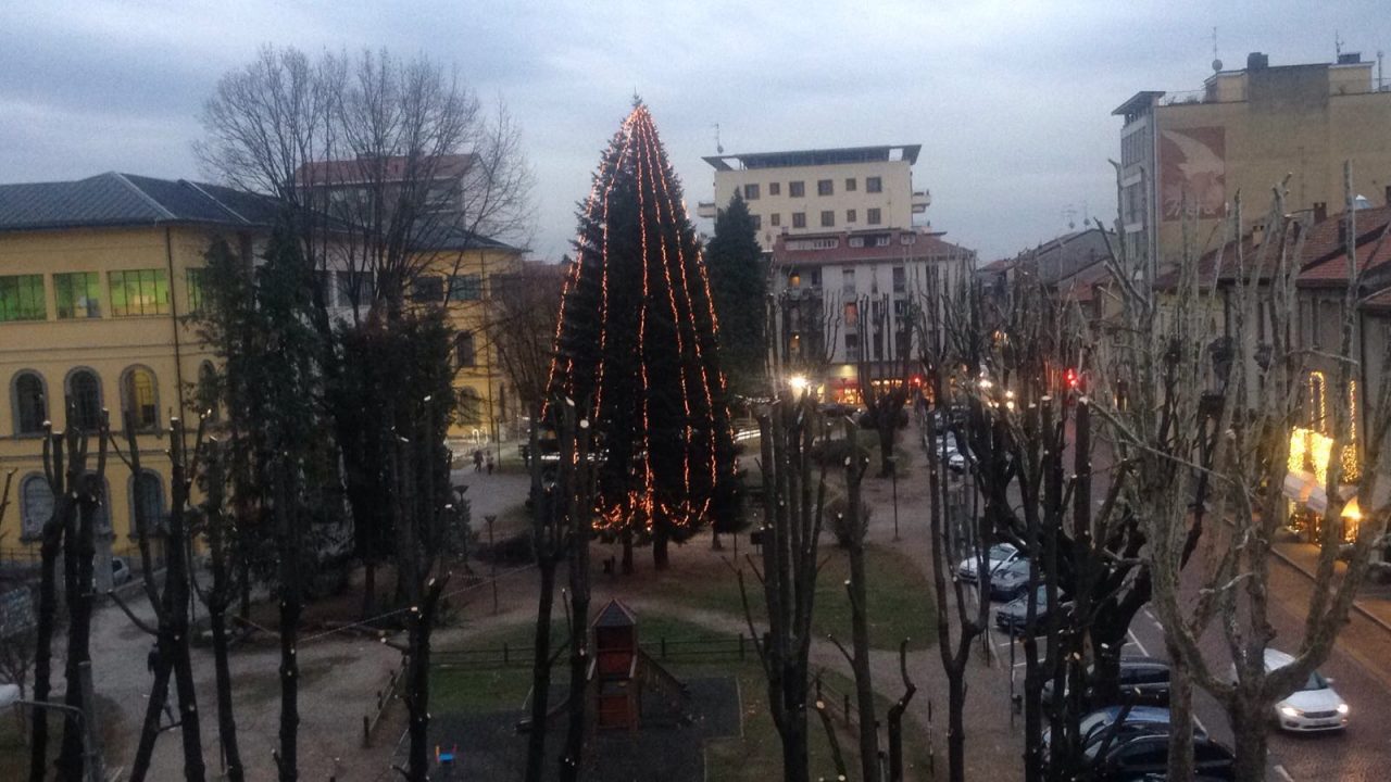 Alberi potati, piazza Mazzini si fa più bella per Natale