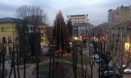 Alberi potati, piazza Mazzini si fa più bella per Natale
