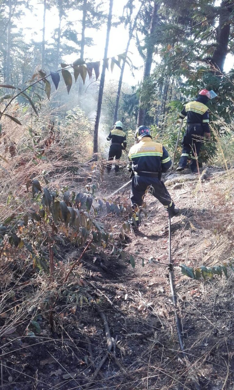 Campo dei Fiori verso la conclusione la battaglia contro le fiamme