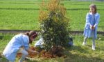 Scuola di riciclo nel Castanese e Magentino