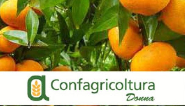 Clementine antiviolenza nelle piazze italiane