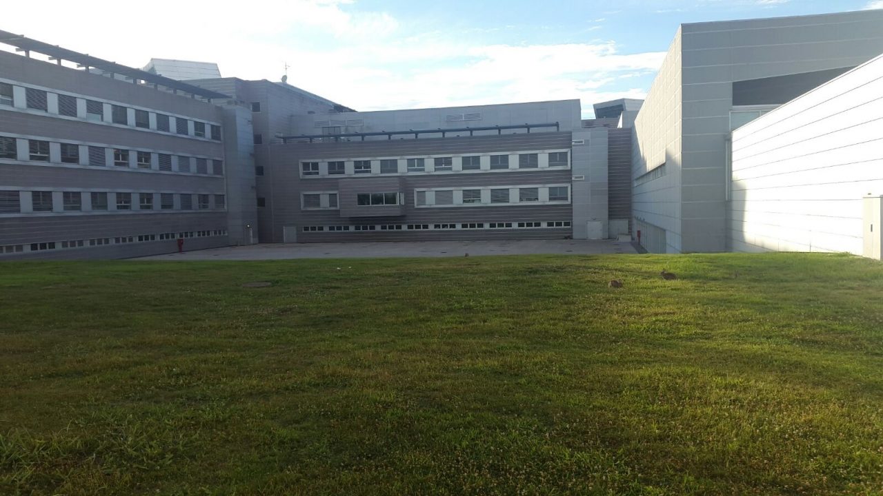 Al centro prelievi dell’ospedale su prenotazione
