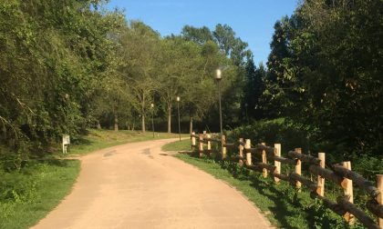 Escursione nel parco degli Aironi