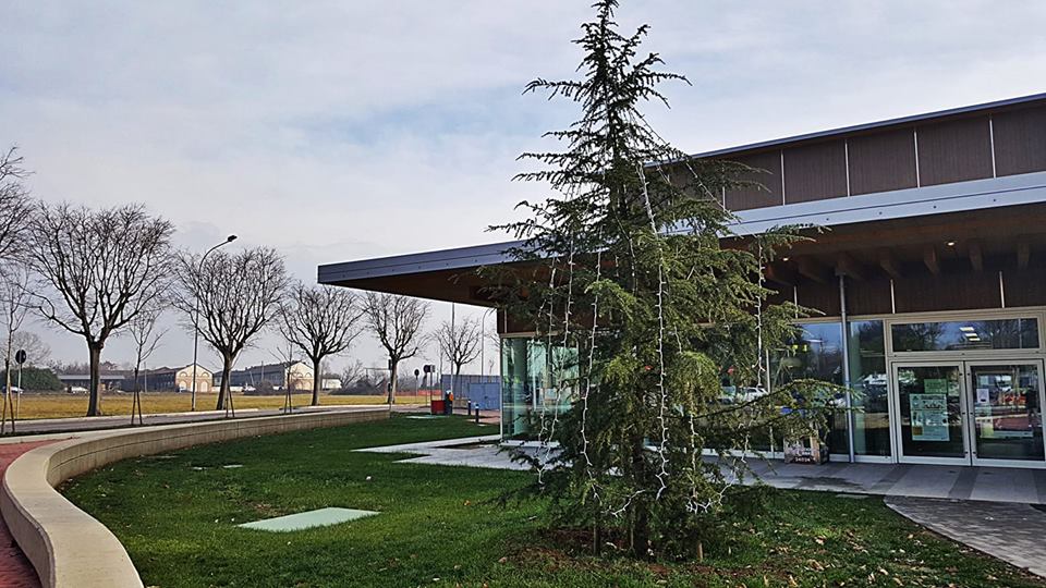 Arese come Roma, i cittadini addobbano Spelacchio