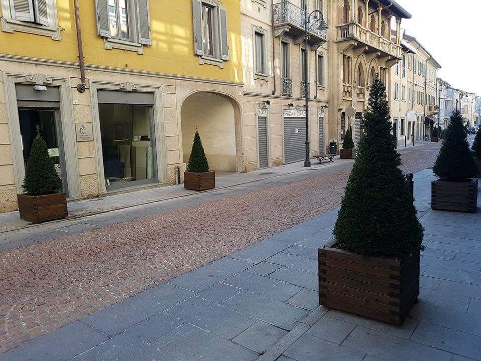 Installate le luminarie, il Natale si accende a Tradate