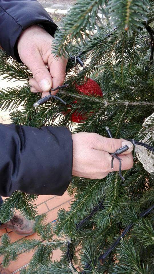 Atto vandalico va in tilt l’albero di Natale di Gerenzano