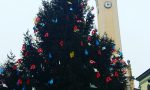 Albero di Natale a Turate targato Avis - IL VIDEO