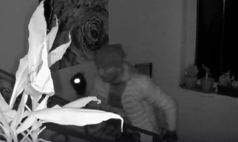 Furto in casa a Besate: le immagini del ladro in azione VIDEO