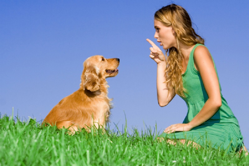 Io e il mio cane, un incontro a Marnate