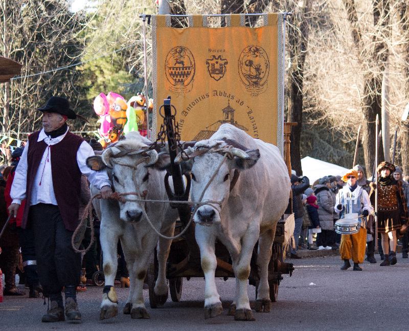 Sagra di sant’Antonio: “Grazie agli animalisti qualcosa si muove”