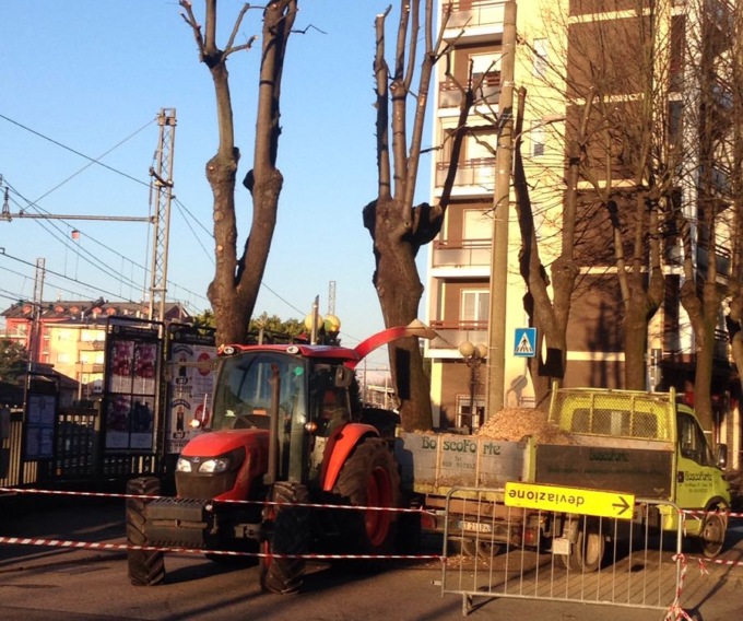 Continuano le potature: nuovo look per i tigli di viale Marconi e via Trieste
