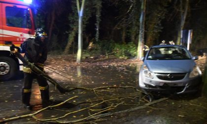 Maltempo, albero si abbatte su auto a Garbagnate: due feriti