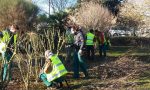 Stanziati 225mila euro per il verde cittadino a Pero