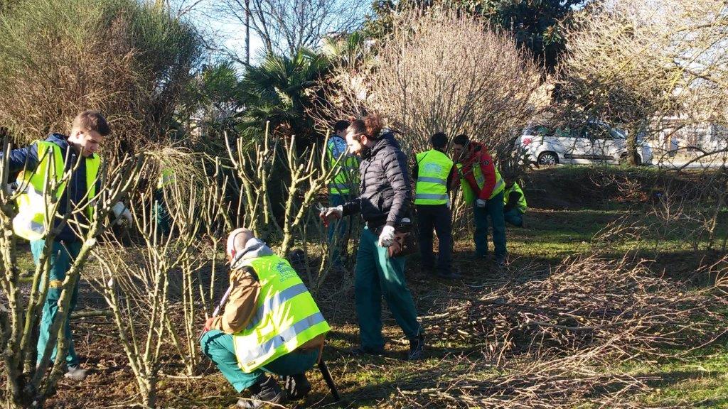 Stanziati 225mila euro per il verde cittadino a Pero