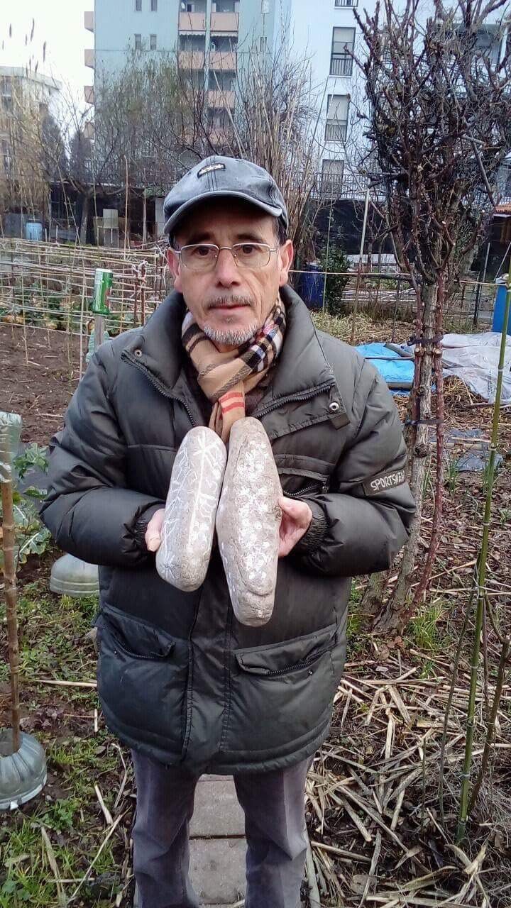 Sassi con simboli celtici nel suo orto